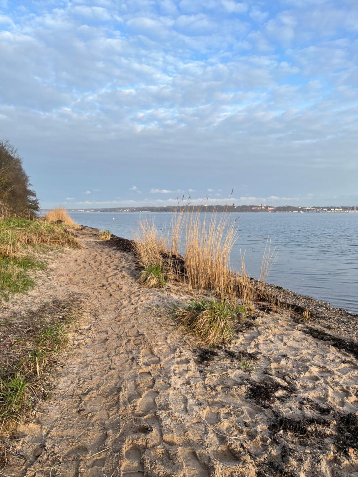 Neu 2024 - Fewo Mit Meerblick & Flair Harrislee Exterior photo